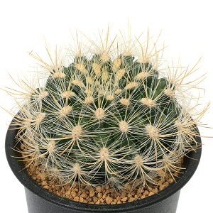 iAjT{e@}~A@≥ہ@3i1|bgj