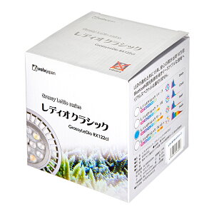 {NXWp@Grassy@LeDio@RX122cl@Reef@fBINVbN@֓