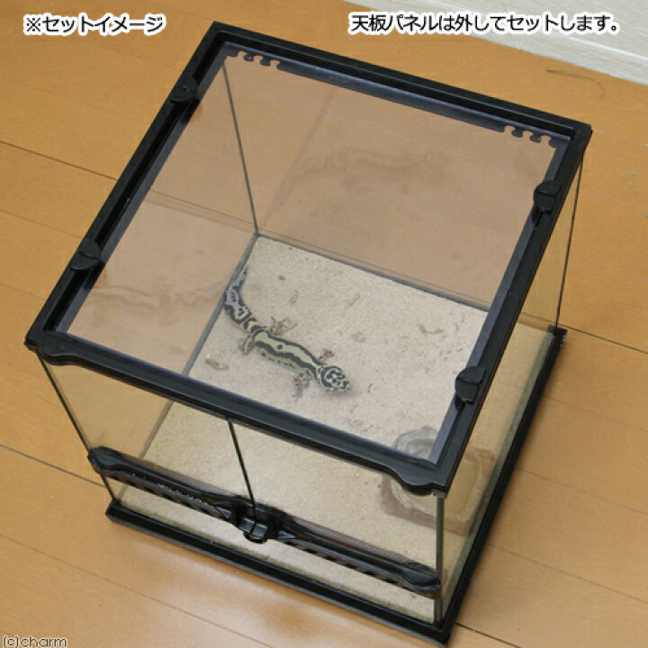 楽天市場】湿度を維持する ピッタリ塩ビフタ グラステラリウム  