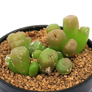 iAjRmtBc@GNeBv@XJc@2i1j