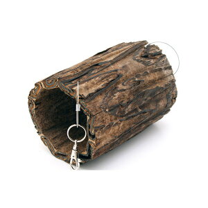 @@VRfނ݂̒艺gl@pRc[iV_̖؁j@STCY@nX^[@V}X@fO[@K@֓