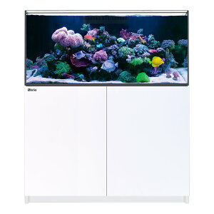 reefer レッドシー」の人気商品一覧 | 安い商品を通販サイトから探す 