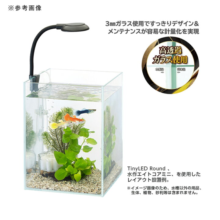 楽天市場】水作 ガラス水槽 Minima GlassClear 150 