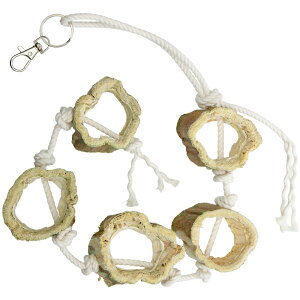 VRfނ̂@Y@ppC̖؂̗ց@݂艺5A@ĂS@؁@nhCh@֓