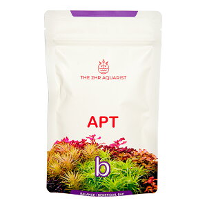 THE�@2HR�@AQUARIST�@APT�|BALANCE�@12�Z�b�g����@��ph�@�_���@�����@�֓�������