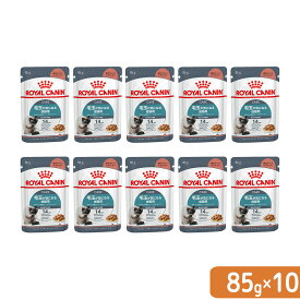 【送料無料】ロイヤルカナン　猫　ヘアボールケア　毛玉が気になる成猫用　生後12ヵ月齢以上　85g×10袋　お一人様1点限り　お試し　関東当日便