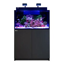 楽天市場】水槽 90cm（水槽セット｜水槽・アクアリウム）：熱帯魚 