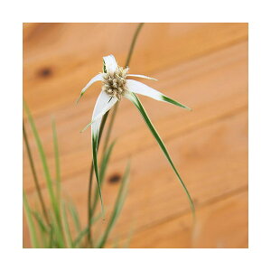 iR쑐jVTMJciᒠނji1|bgjixԁj