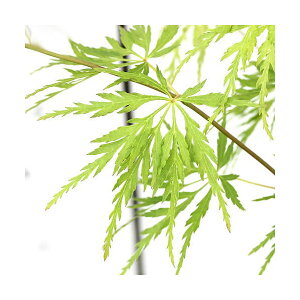 i~́j~W@|bg@iZCEj4`6i1jsixԁj