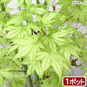 i~́j~W@|bg@iVM^`Tj@4`6i1jsixԁj