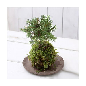 i~́jۋʁ@~j؁@i킨܂i3j@ϗtA@RP