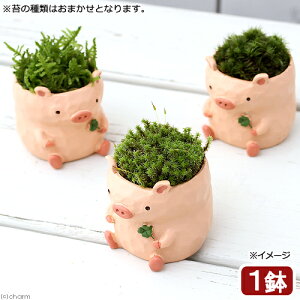 i~́jۖ~́@gAj}@u^i1j