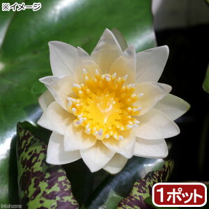 irIg[vj@@Mѐ@iXCjij@WjXi1|bgjiJSj
