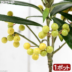 iR쑐j~́@S@J^`oiikj@3D5i1|bgj