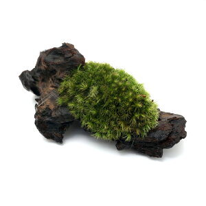 ieEjہ@e@}SPt؁@~jTCYi7cmxji3{j