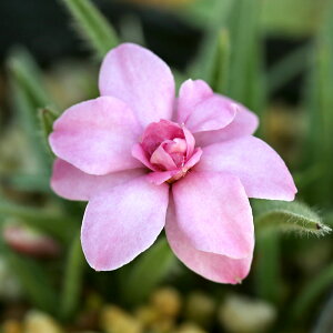 iR쑐jAbcUNi[hq|LVXj@}hi[Y@3i1|bgjixԁj