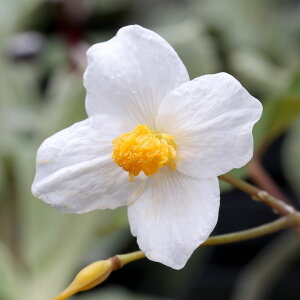 iR쑐jVLQViHqj@3i1|bgjixԁj