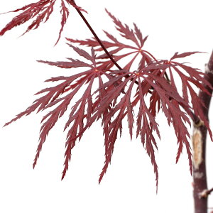 i~́j~W@|bg@bhhS@4`6i1jsixԁj