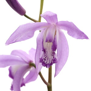 iR쑐jVijԃViԎj3i1|bgjixԁj