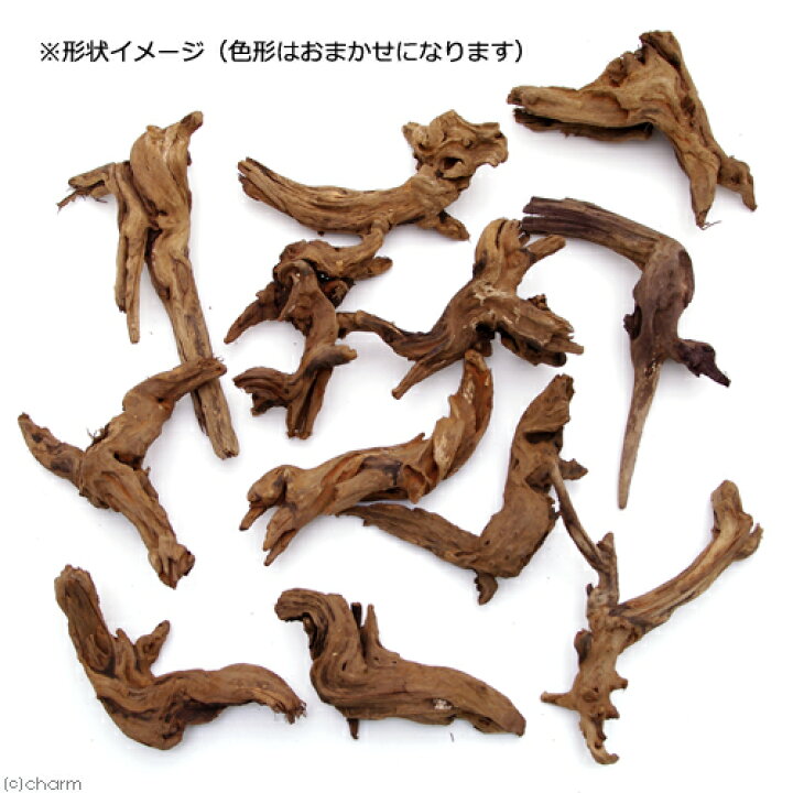 楽天市場 形状お任せ 上質流木 雅 みやび sサイズ 約15 25cm 3本 関東当日便 Charm 楽天市場店 楽天市場 形状お任せ 上質流木 雅 みやび sサイズ 約15 25cm 3本 関東当日便 Charm 楽天市場店