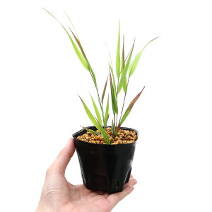 iR쑐jtE`\EimjxjtE`\Eigmj@3i1|bgjixԁj