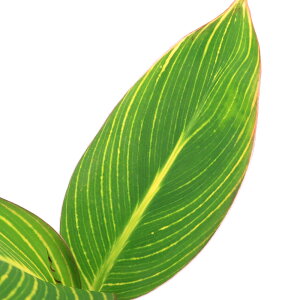 irIg[vjA@Ji@xK^CK[@4i1|bgjixԁj