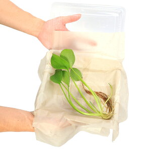 irIg[vjA@A}]tbOrbgitji1jixԁj