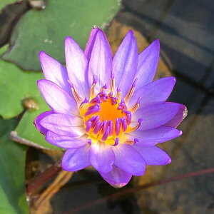 irIg[vj@@Mѐ@iXCjij@W[ii1|bgjiJSjixԁj