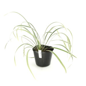 iR쑐jEmqQ@~XLX^X@2D5i1|bgjixԁj