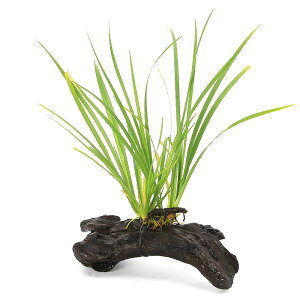 irIg[vjā@ZLVEiARXjSTCYi15cmji1{jΐA