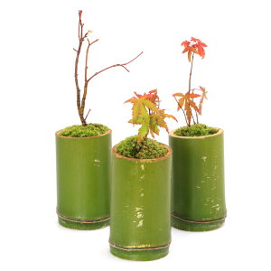 i~́jۖ~́@|A@gti~W@i킨܂\Lji1jixԁj