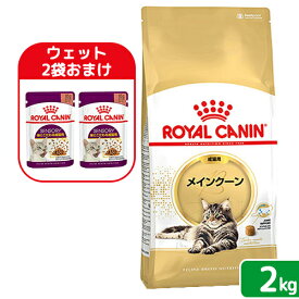 【ウェット2袋おまけ付】ロイヤルカナン　猫　メインクーン　成猫用　生後15ヵ月齢から12歳まで　2kg　ジップ付　お一人様4点限り　関東当日便