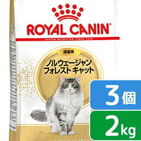 ロイヤルカナン　猫　ノルウェージャン　フォレスト　キャット　成猫用　生後12ヵ月齢から12歳まで　2kg×3袋　ジップ付　関東当日便