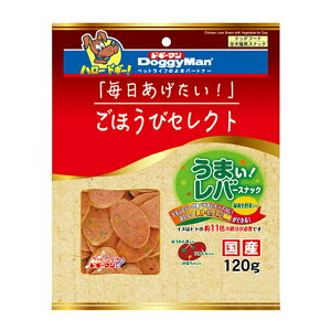 hM[}@قуZNg@܂Io[XibN@ΉFؓ@120g@֓