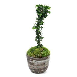 iR쑐jۖ~́@ΉqmL@LvqĐAؔiіځji1j