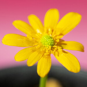 iR쑐jinqELJ@AJKl@2D5i1|bgjixԁj