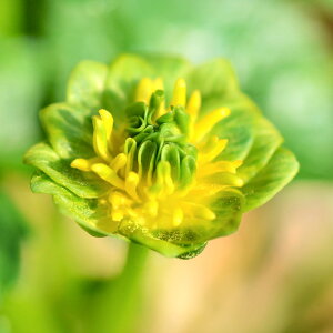 iR쑐jinqELJ@O[y_@2D5i1|bgjixԁj