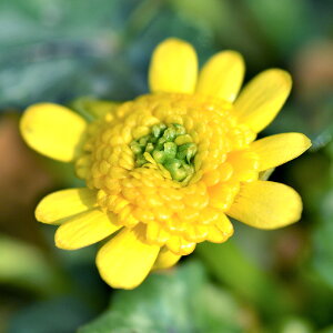 iR쑐jinqELJ@Rbg@2D5i1|bgjixԁj