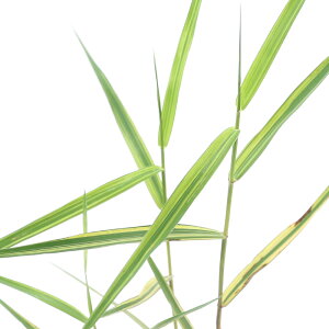 iR쑐jqAViPji1|bgjixԁj