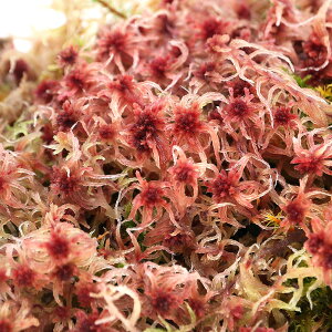 ieEjہ@TL~YSPiہj@1pbN