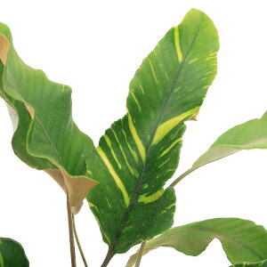 iR쑐jV_irjqgco@с@3i1|bgjΐN