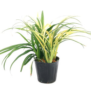 iR쑐jL`WE\Eigˑj@3i1|bgjixԁj