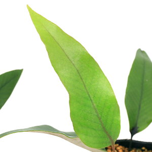 iR쑐jV_irjqgcoictj3i1|bgjΐN