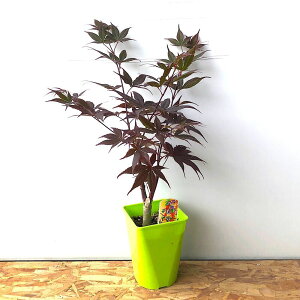 i~́j~W@|bg@쑺imj4`6i1jsixԁj