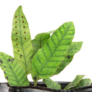 iR쑐jV_irjVZII^JmnE{VilHj3i1|bgjΐN