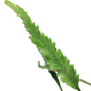 iR쑐jV_irjmRMtqgco@3i1|bgjΐN@A