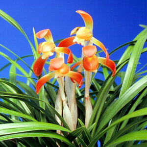 iR쑐jVitǰiAY}mqJj3i1|bgj{t@ÓT|ixԁj