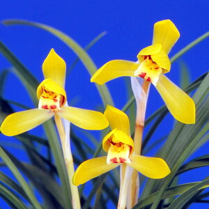 iR쑐jVitǰi}cmqJj3i1|bgj{t@ÓT|ixԁj