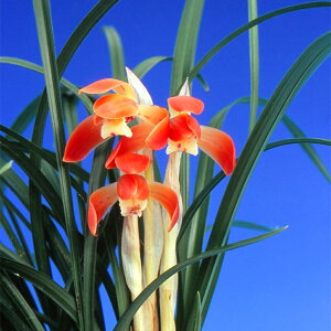 iR쑐jVitjQiqzEj3i1|bgj{t@ÓT|ixԁj