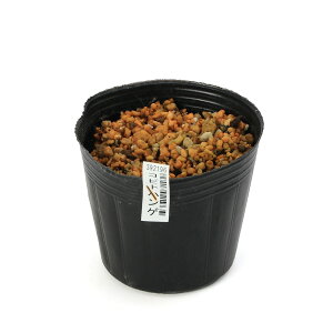 iR쑐jRrgnQilāj3i1|bgjixԁj